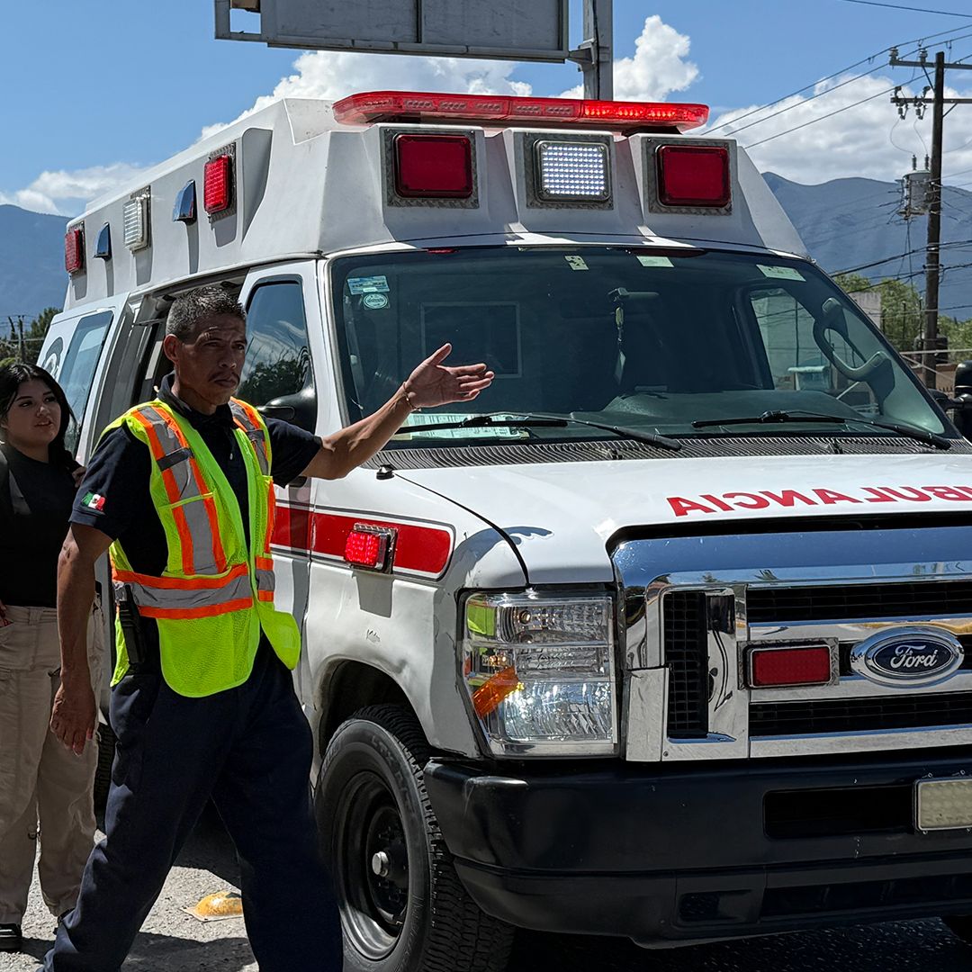 Cierran Panteón por Ataque de Abejas en Saltillo